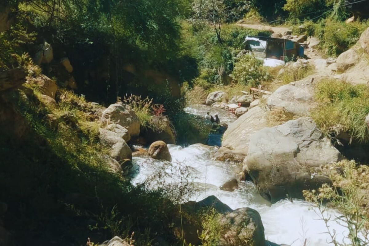 Scenic forest trail from Barshaini to Tosh with pine trees and mountain views – part of the Kasol to Tosh trek route 2025