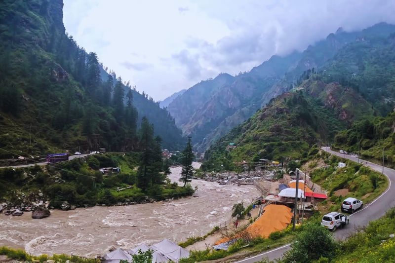 Golden autumn forest in Kasol with brown and yellow leaves, perfect for hiking and village festivals