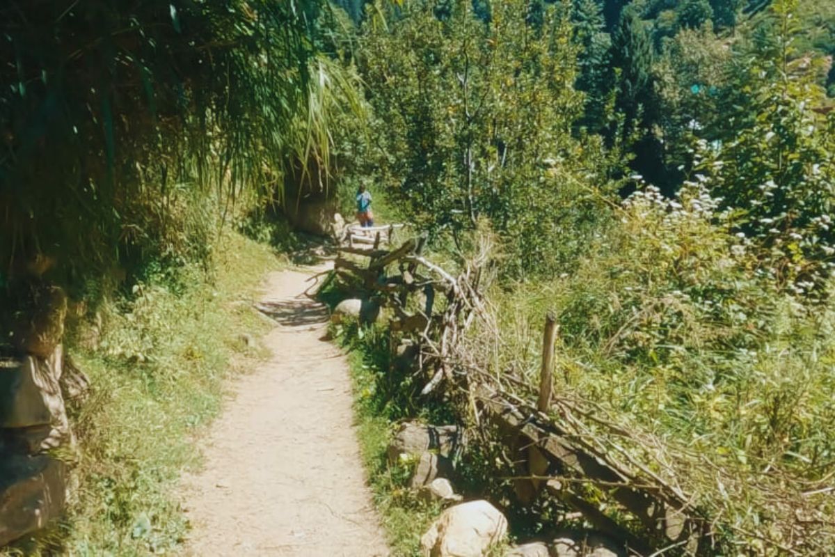 Kasol to Tosh Trek Guide 2025