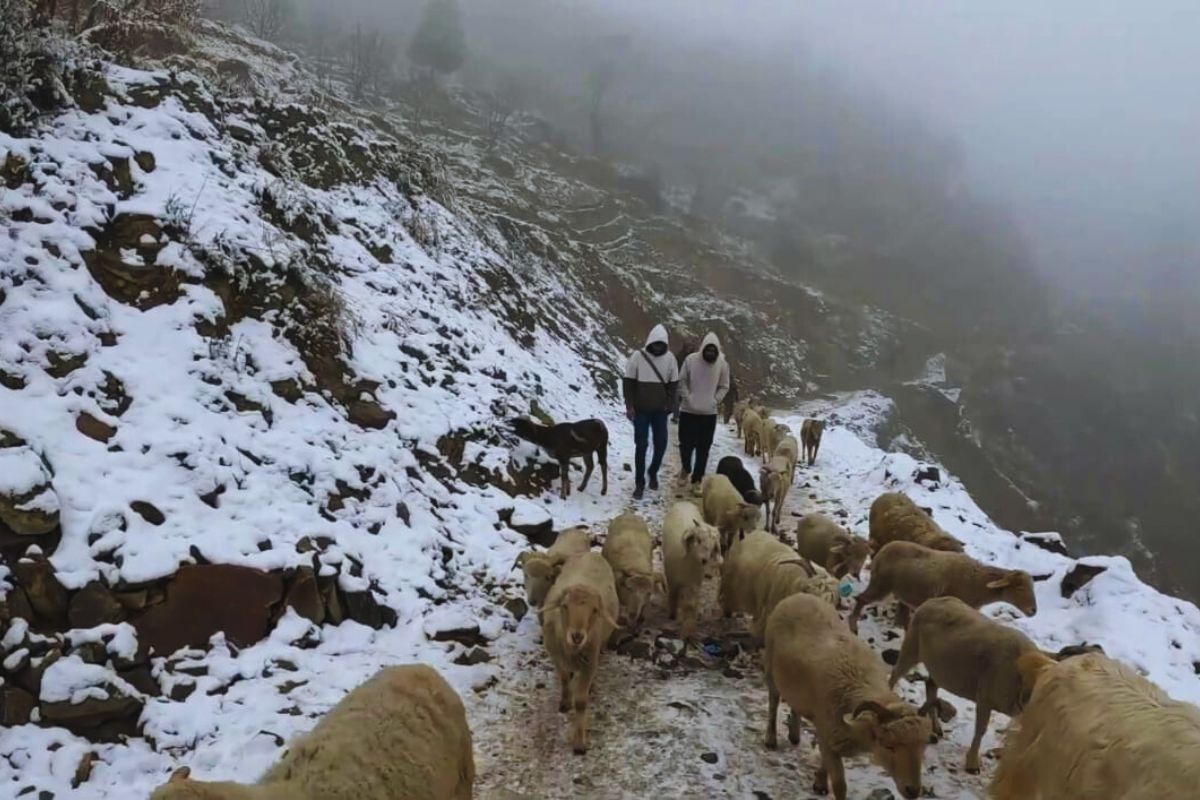Snow-covered Tosh village and frozen trail in Himachal Pradesh during winter – ideal for snow trekking and serene views in 2025