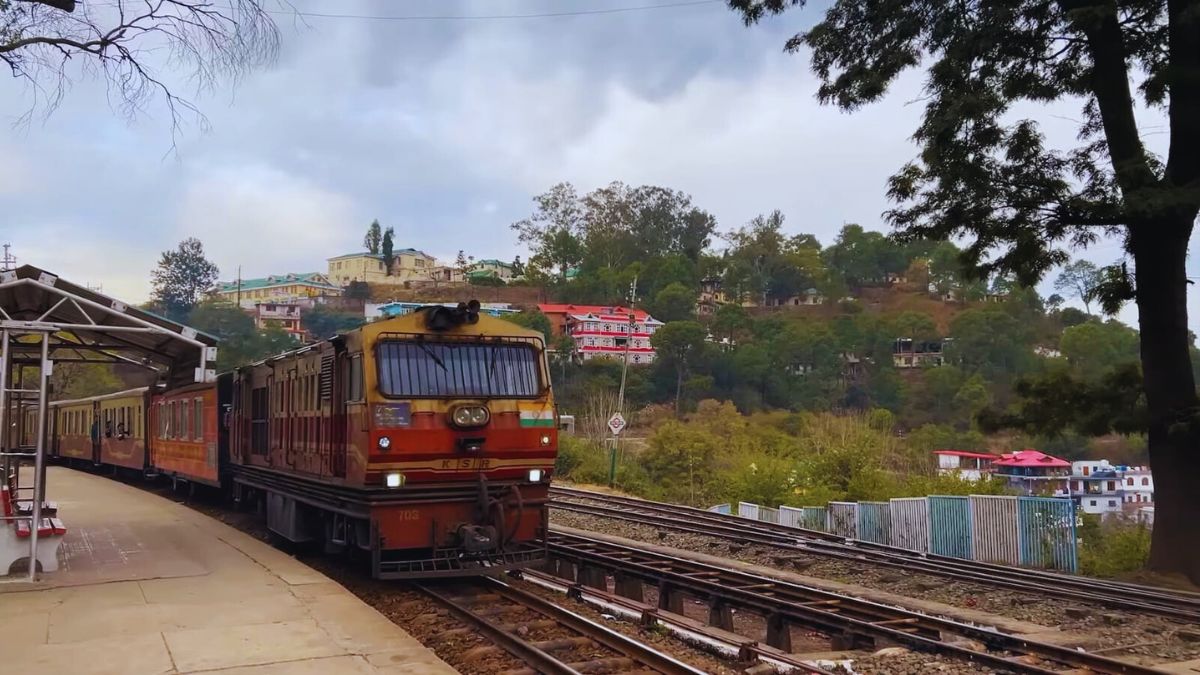 Toy train arriving at Barog station surrounded by pine forests