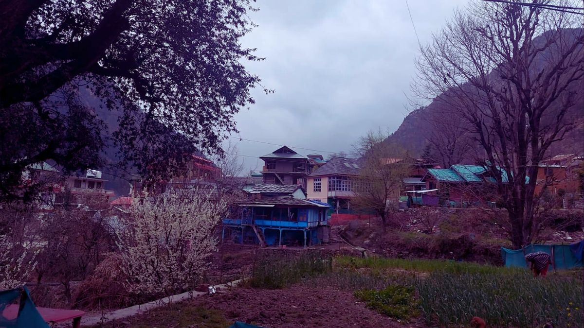 Forest trail and peaceful camping spot in Chalal, Parvati Valley