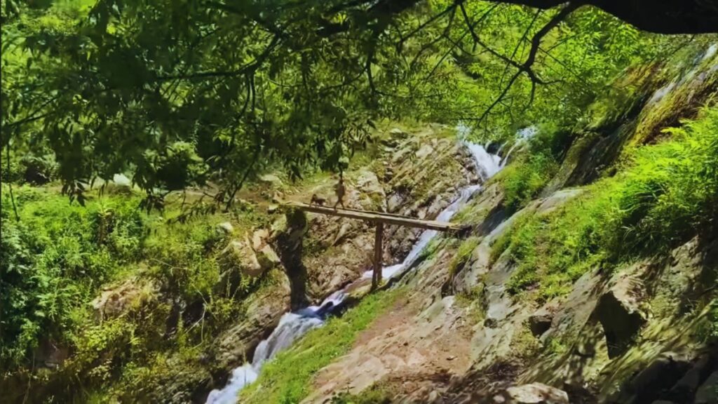 A hiker crossing a wooden bridge over a waterfall in a lush national park in Himachal Pradesh