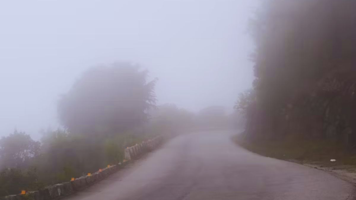 “Haunted Jalori Pass road in Himachal covered in mist”