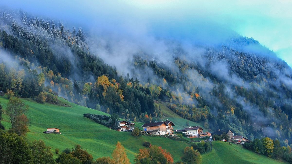 Himachal Villages That Disappear Into Clouds. Fog rolling into pine forest near Jibhi