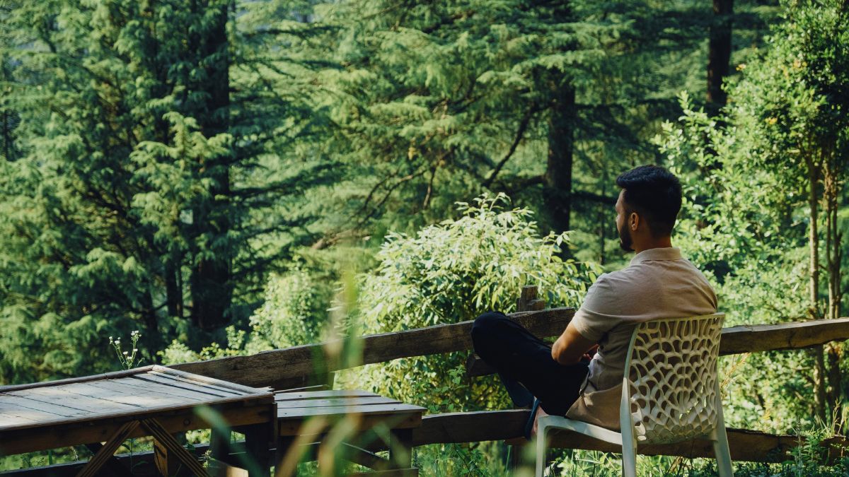  Remote worker in a Jibhi café surrounded by pine trees in Himachal