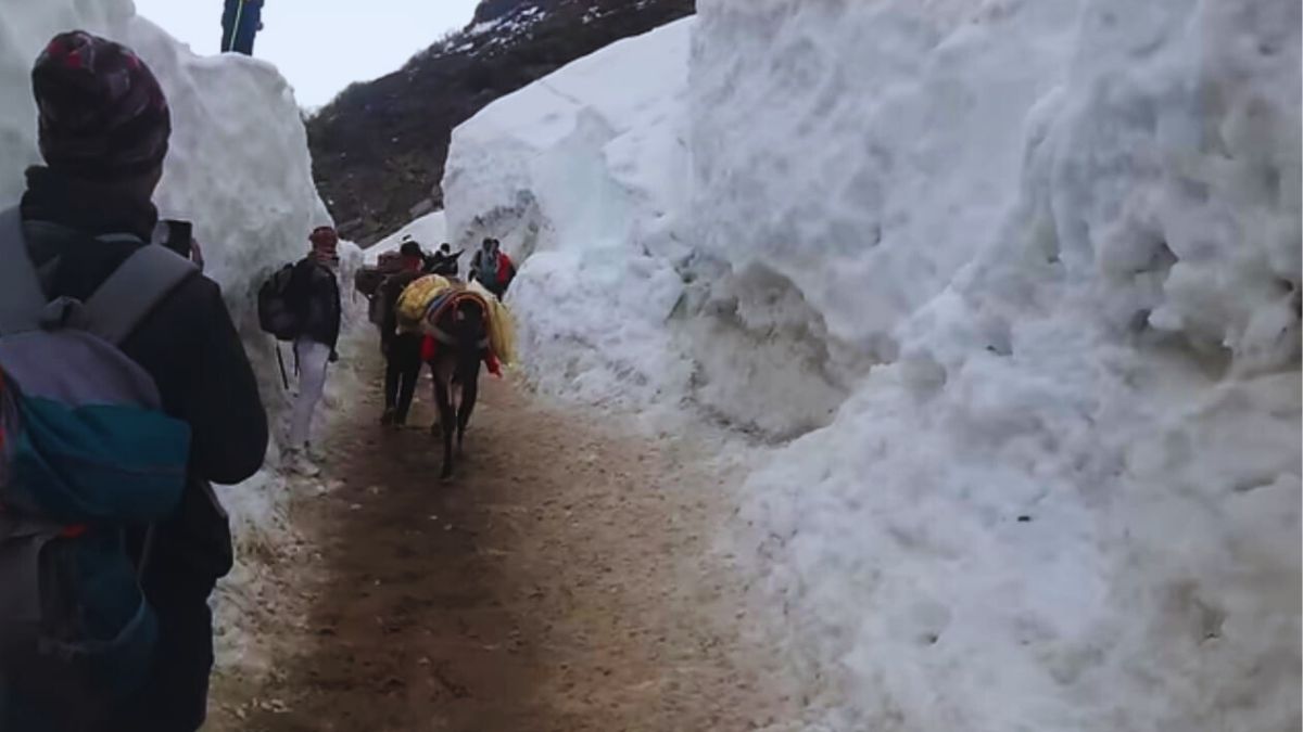 Pilgrims trekking from Gaurikund to Kedarnath