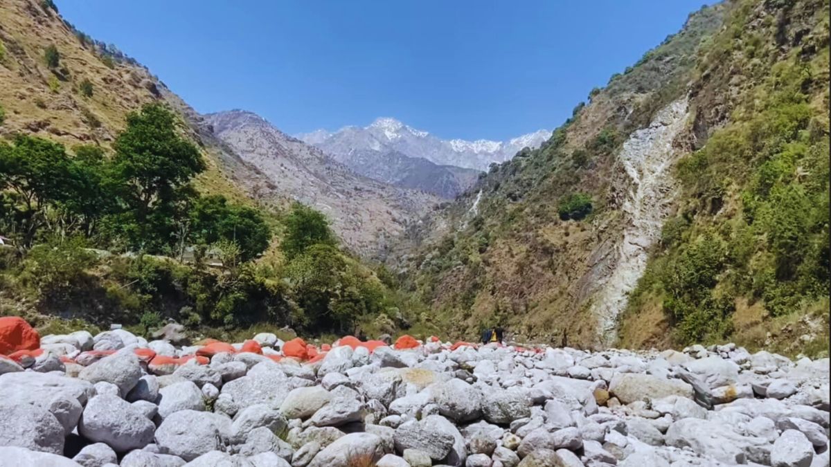 “Misty tea estates of Palampur, Himachal Pradesh in monsoon”