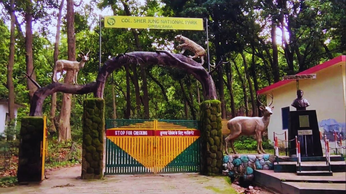 Wildlife in Simbalbara National Park Himachal Pradesh