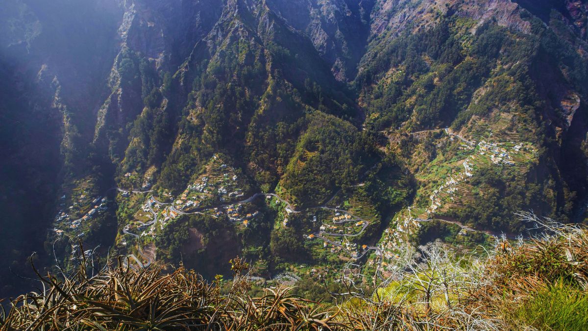 Golden Terraces of Munsiyari Uttarakhand with Panchachuli peaks