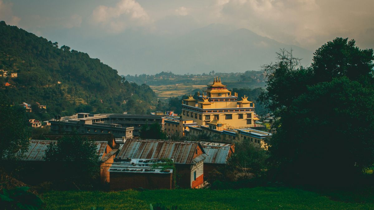 Golden Terraces in Lohaghat Champawat Uttarakhand during golden hour
