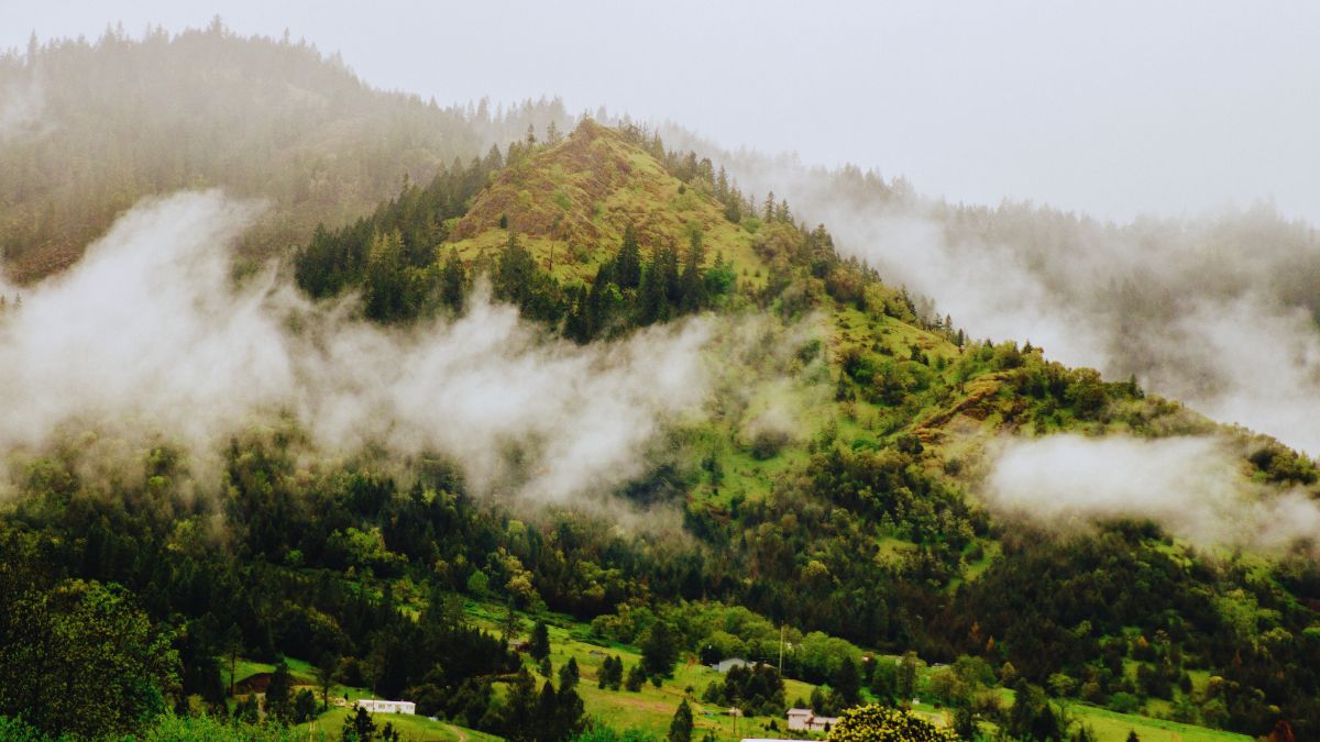 Golden Terraces near Ukhimath Uttarakhand with fog approaching
