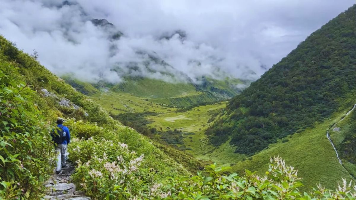 Valley of Flowers National Park in monsoon