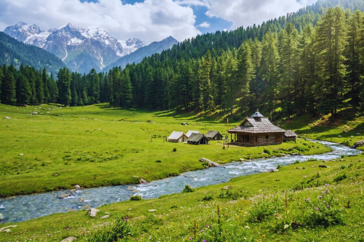 Green meadow and deodar trees at Baga Sarahan in Kullu district.