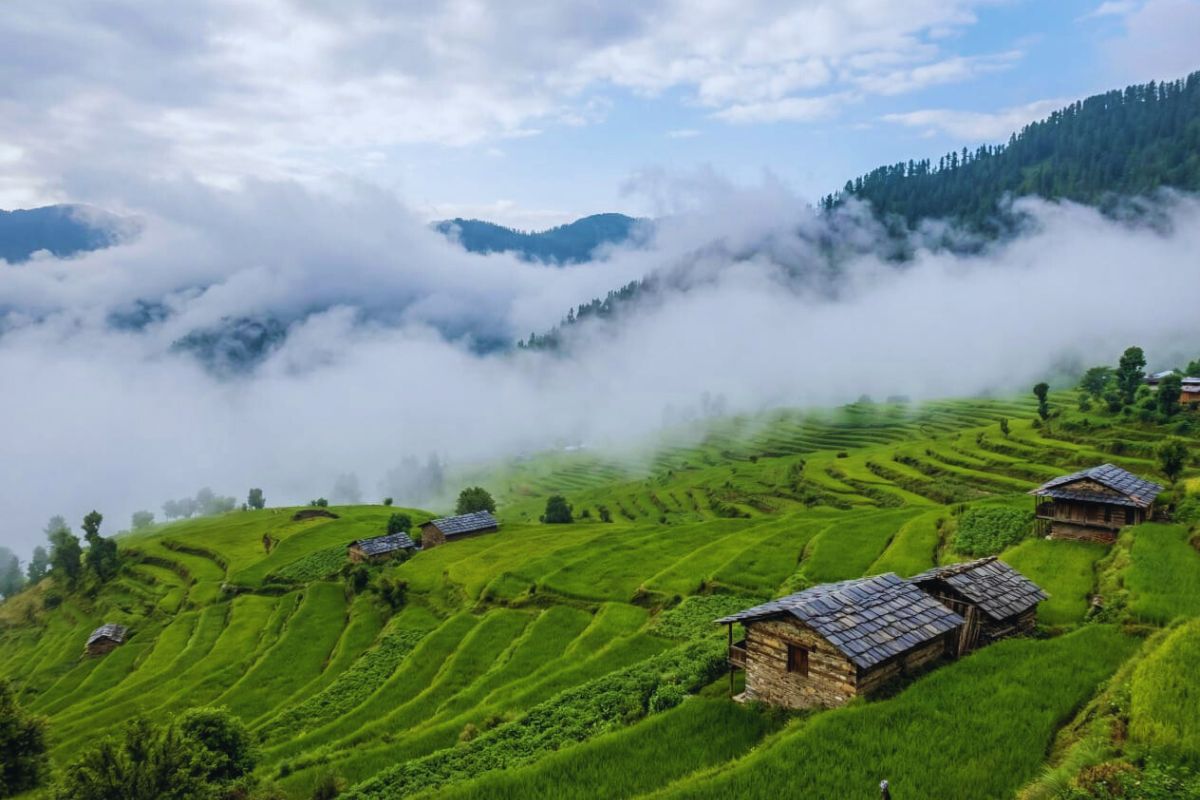 Terraced fields, wooden homes, and clouds in Sainj Valley, Himachal.